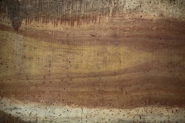 Palmier Planche Bois Texture Surface Brun — Photo