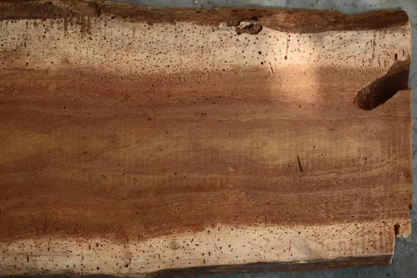 Palmier Planche Bois Texture Surface Brun — Photo