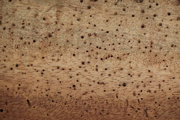 棕榈树木板表面质感棕色 — 图库照片