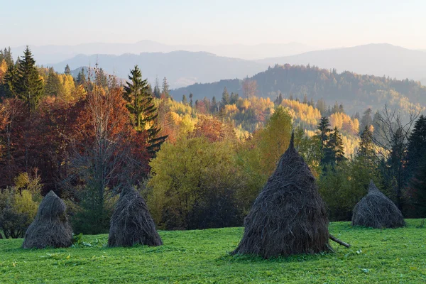 Rick dry hay on a mountain meadow — Stock Photo, Image