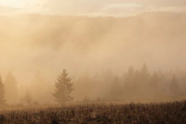 Őszi táj, a köd és a sun — Stock Fotó