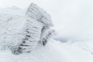 Kış manzarası ile hoarfrost bir kayanın üzerinde