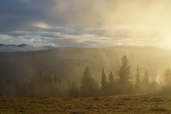 Herfst landschap met mist in Bergen — Stockfoto