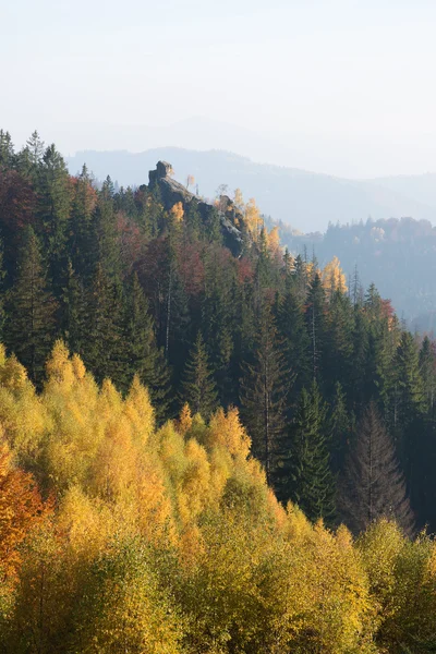 Herbstlandschaft mit Felsen im Wald — Stockfoto