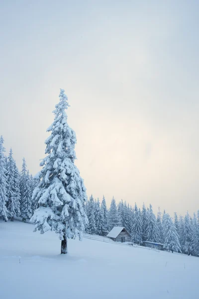 Paisaje invernal con casa de madera en las montañas — Foto de Stock