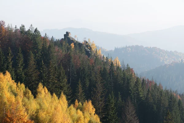 Paysage d'automne avec un rocher dans la forêt — Photo