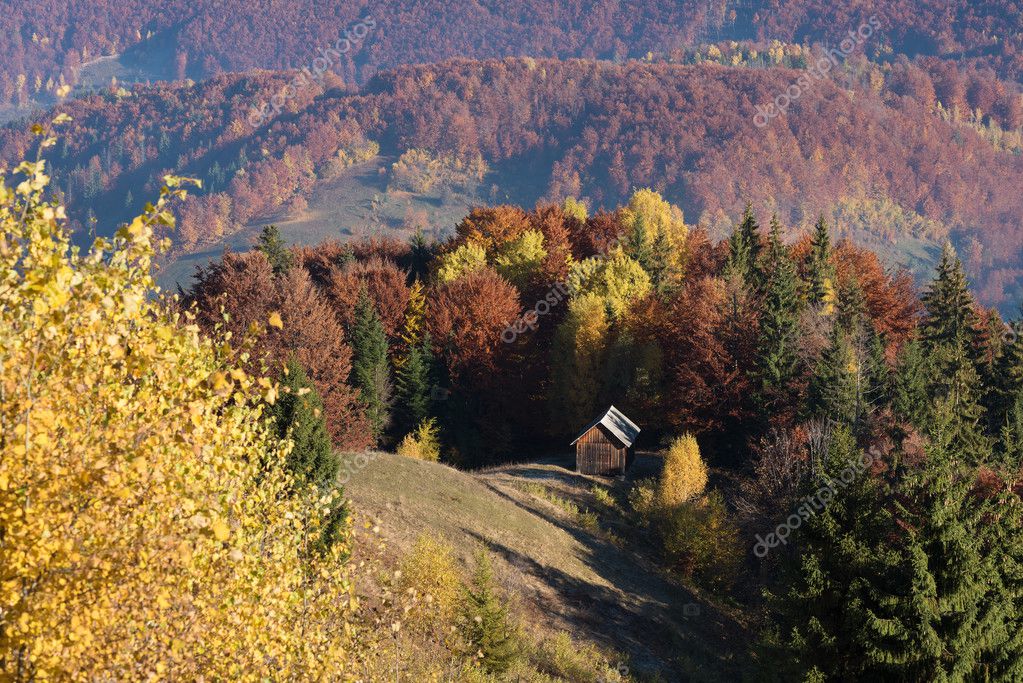 Фото Осенний Пейзаж В Деревне