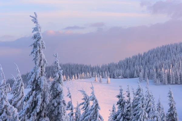Paisaje navideño en las montañas de invierno al atardecer — Foto de Stock