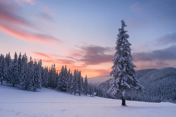 Paisaje navideño con abeto en la nieve y casa en el m — Foto de Stock