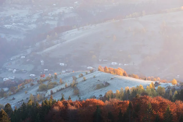 Herbstlandschaft mit wunderschönem Wald in den Bergen — Stockfoto