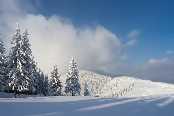Boże Narodzenie krajobraz z świerk w górach — Zdjęcie stockowe