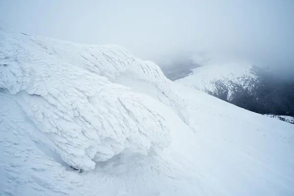 Kış manzarası ile hoarfrost bir kayanın üzerinde — Stok fotoğraf