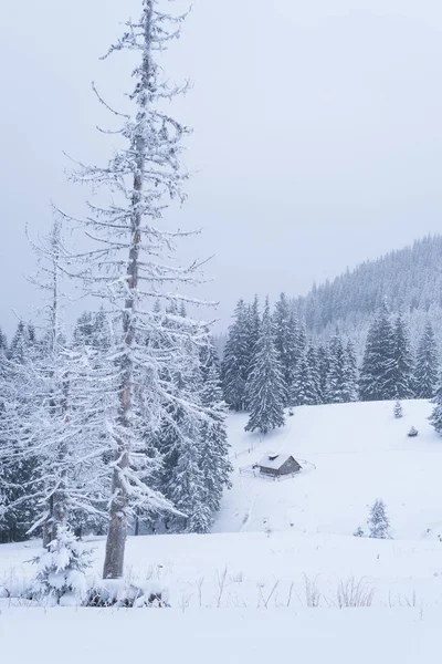 Winterlandschap met houten huis in de bergen — Stockfoto