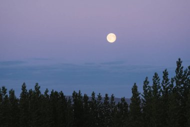 Dolunay, sabah yatay