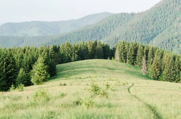 Paisagem de verão com caminho pedestre nas montanhas — Fotografia de Stock