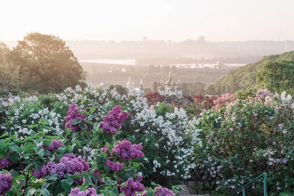 Kiew ist die Hauptstadt der Ukraine — Stockfoto