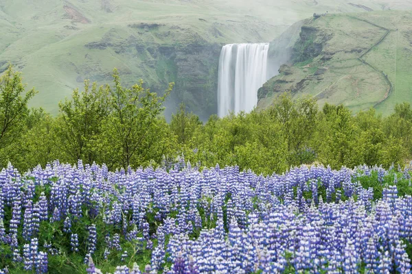 Пейзаж с водопадом Скогафосс, Исландия — стоковое фото