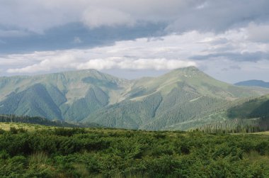 Yaz manzara sessiz sesleri