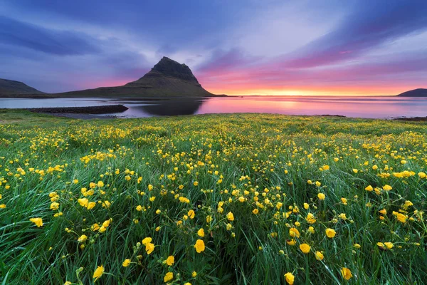 Vackert landskap med berg och hav i Island — Stockfoto