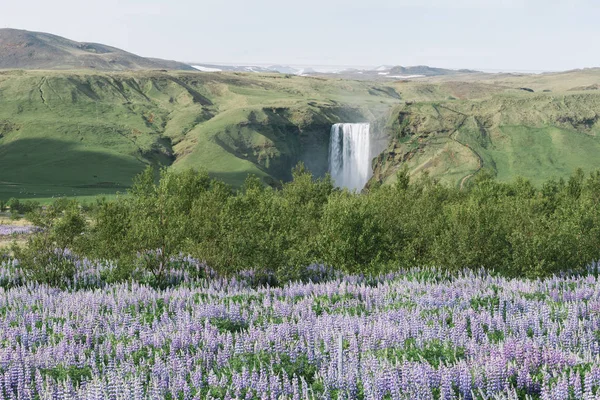 Táj Skogafoss vízesés, Izland — Stock Fotó