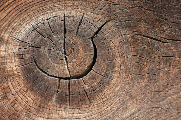 Textura de madera vieja con nudos — Foto de Stock