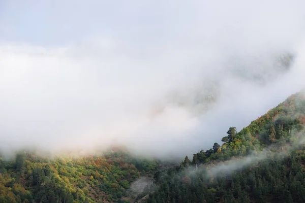 Beau brouillard dans les montagnes du Caucase — Photo