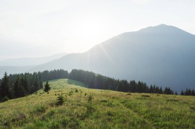 Patika dağlarda, yaz yatay