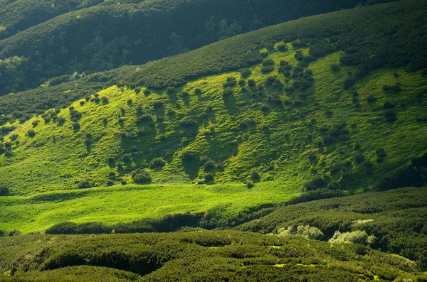 Montanhas em tons verdes — Fotografia de Stock