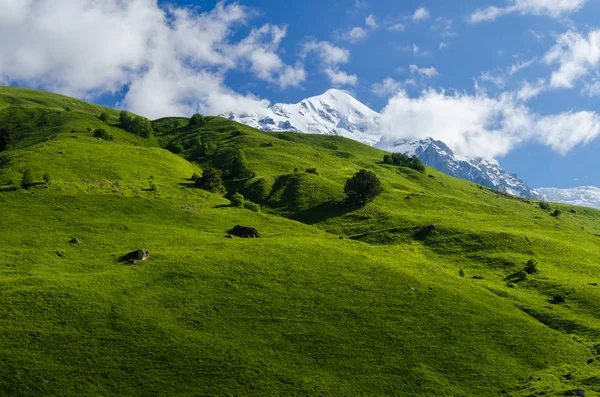 Летний пейзаж с горной вершиной Тетнульди — стоковое фото