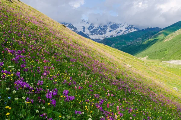 Summer landscape with blossoming mountain valley in Georgia — Stock Photo, Image