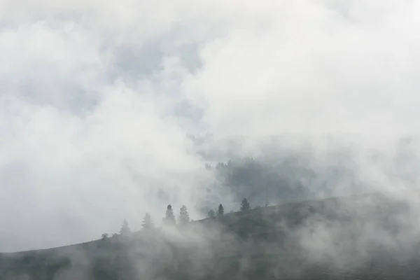 Paisagem de outono com nevoeiro em uma floresta de montanha — Fotografia de Stock