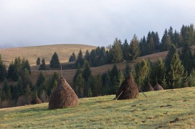 Dağ alanında kuru saman yığını ile kırsal manzara