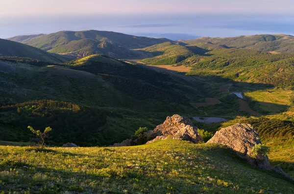 緑の丘と海の夏の風景 — ストック写真