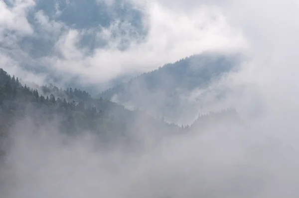 Paisaje otoñal con niebla en un bosque de montaña — Foto de Stock