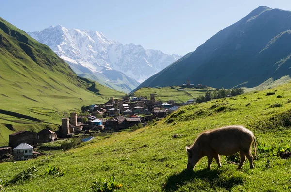 Θέα από το χωριό του Ushguli ψηλό βουνό Svaneti, γεωργία — Φωτογραφία Αρχείου