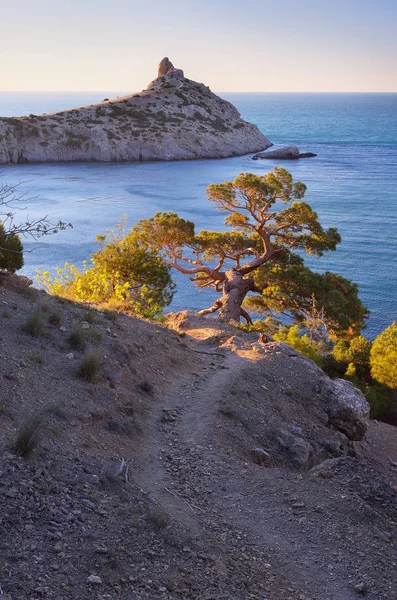 La vista de la montaña al balneario en la Crimea — Foto de Stock