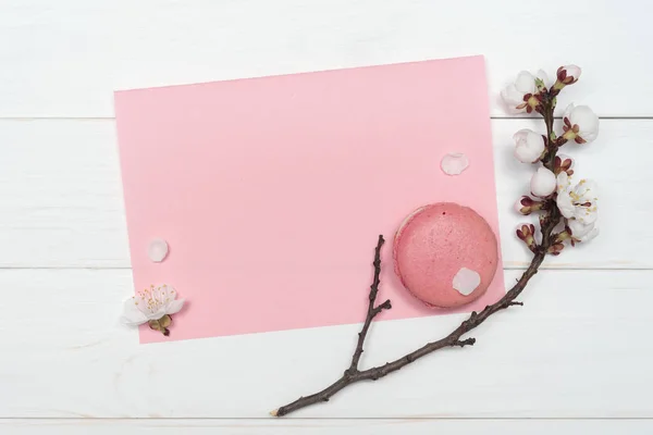 Fondo para el diseño con flores y macarrones — Foto de Stock