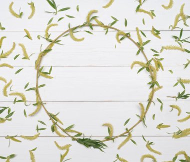 Beyaz zemin üzerinde bir ağaç dalı dekoratif çerçeve