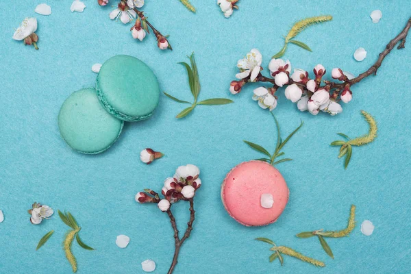 French macaroon dessert and flowers on a turquoise background — Stock Photo, Image