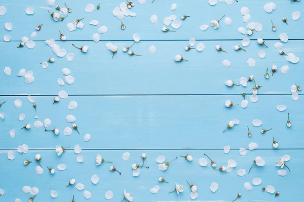 Marco floral para texto sobre fondo de madera azul — Foto de Stock