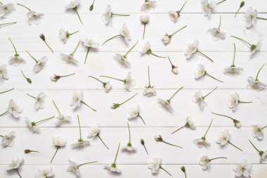 Dekoratif desen beyaz kiraz çiçek