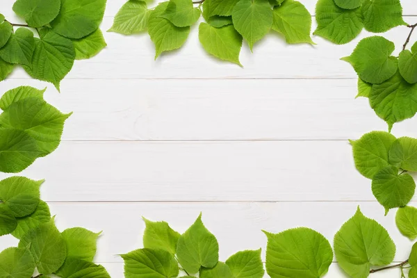 Decoratief frame van groene bladeren — Stockfoto