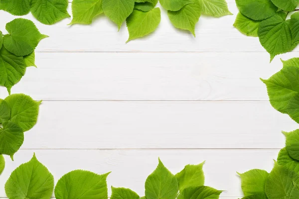 Decoratief frame van groene bladeren — Stockfoto