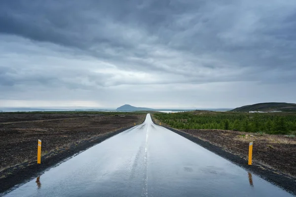 Пейзаж с мокрой дорогой в Исландии Стоковая Картинка