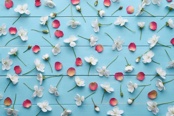 Dekoratives Muster aus weißen Kirschblüten und roten Blütenblättern — Stockfoto