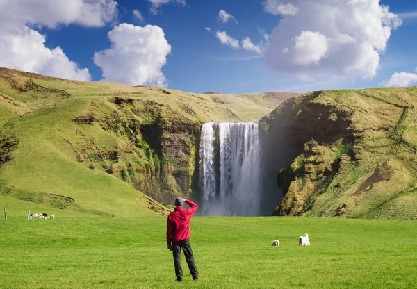 Турист смотрит на водопад Скогафосс в Исландии — стоковое фото