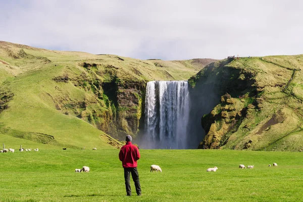 Turista olha para a cachoeira Skogafoss na Islândia — Fotografia de Stock