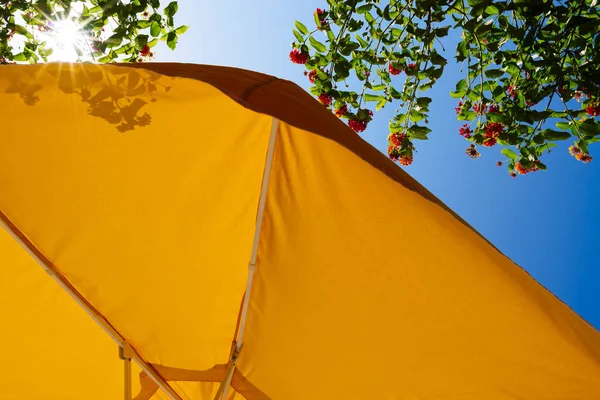 Żółty parasol i promienie słońca — Zdjęcie stockowe