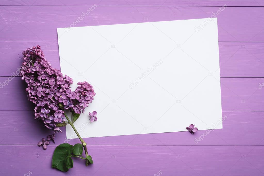 Lilac background for text and design