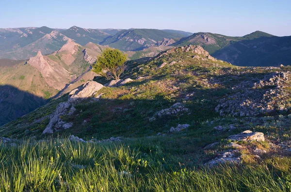 Літній пейзаж на гірському хребті — стокове фото